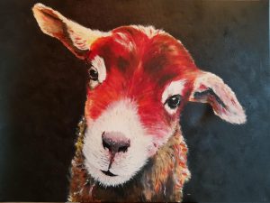 Balduin rot vor schwarzem Hintergrund