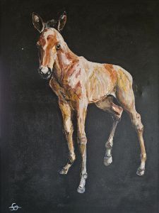 Tristan mit 4 Monaten